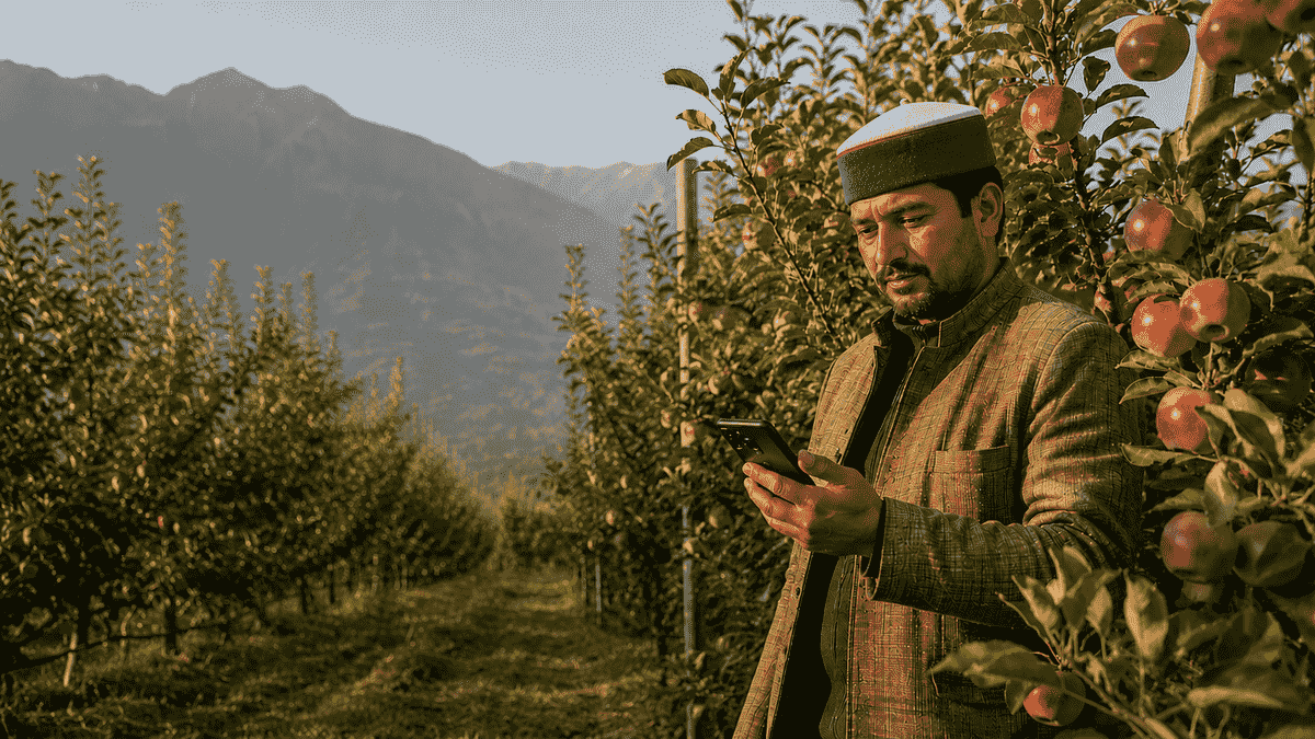 Himachal apple farmer managing orchard with smartphone