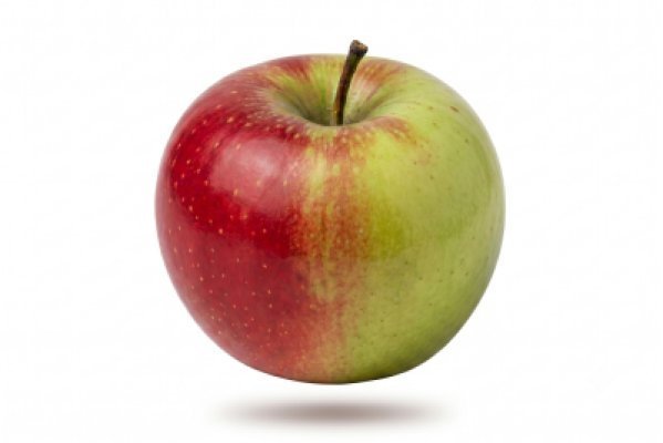 Cameron Select Honeycrisp (DR19c cultivar)