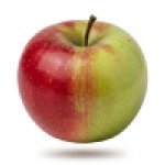 Cameron Select Honeycrisp (DR19c cultivar)
